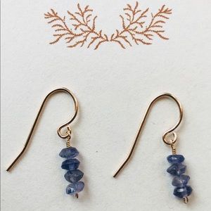 ✨HP✨ Iolite Gemstone & Gold Earrings NWT